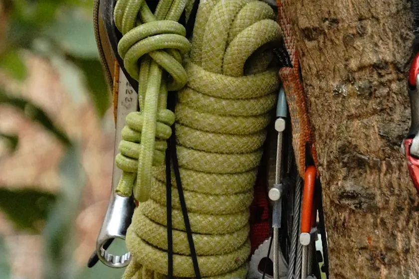 Coiled olive-green climbing rope, a steel carabiner, and rigging hardware hanging against rough hardwood bark